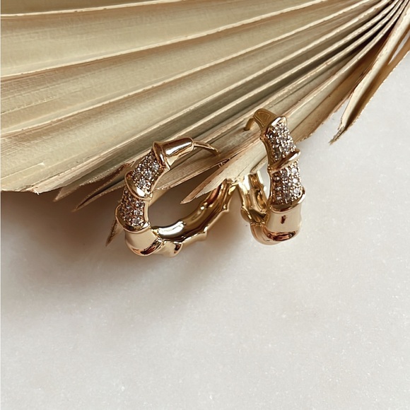 Jags Hoops - Picture 6 of 6